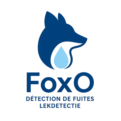 FOXO